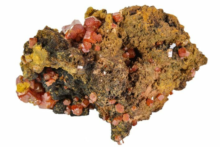 Red Vanadinite Crystals On Manganese Oxide - Morocco #103573